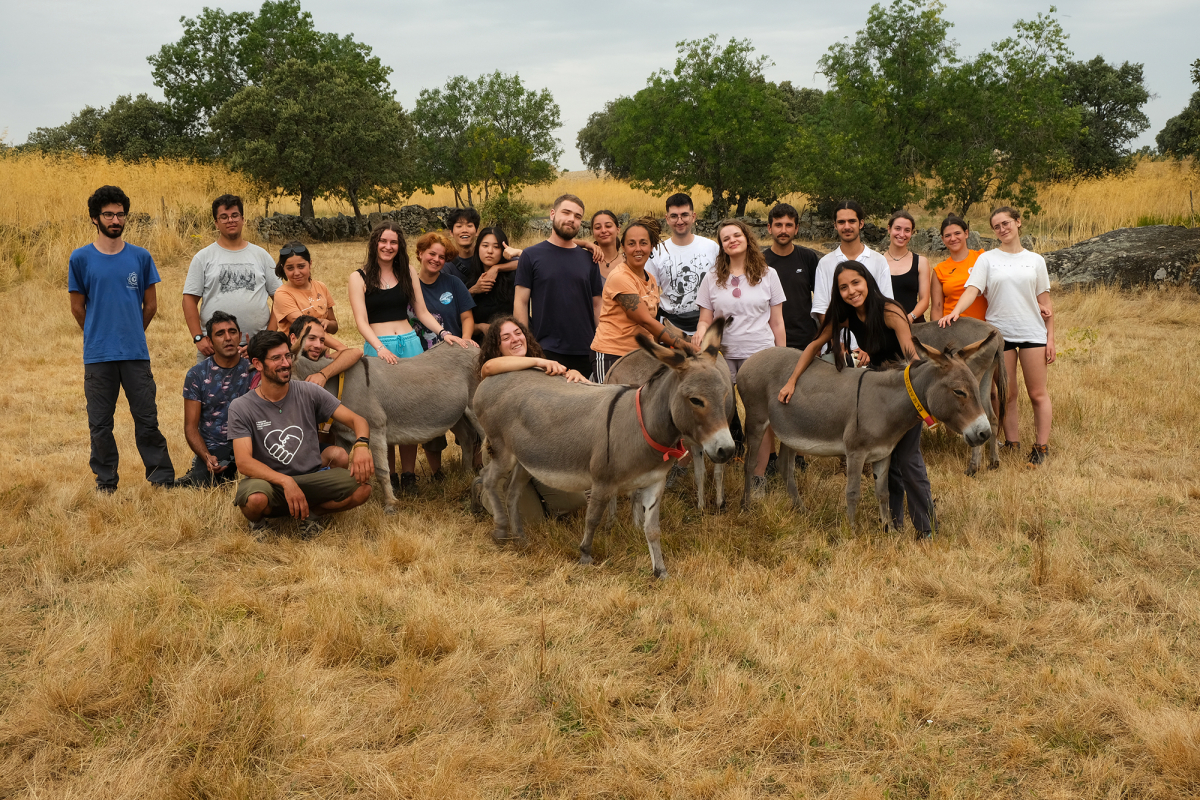United by Donkeys II - 17 jovens unidos pelo voluntariado no CAB