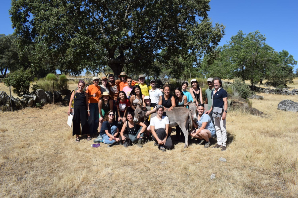 United by Donkeys III - Campo de Trabalho Internacional